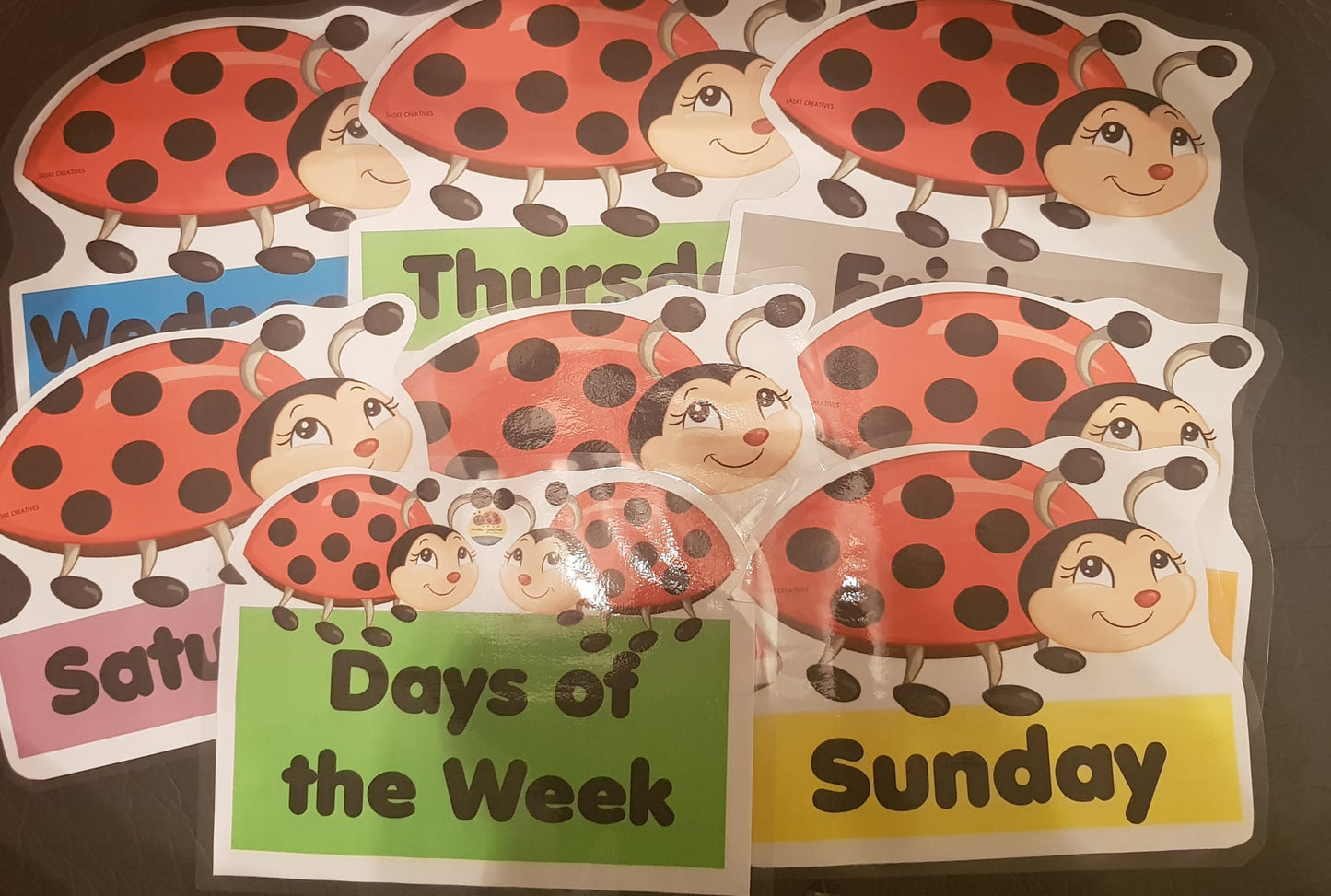 Days of the Week-Lady Bugs Style