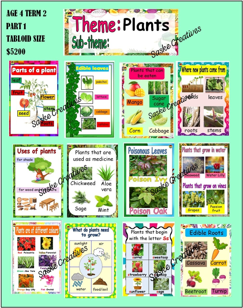 AGE 4 PLANTS TERM 2 CHARTS
