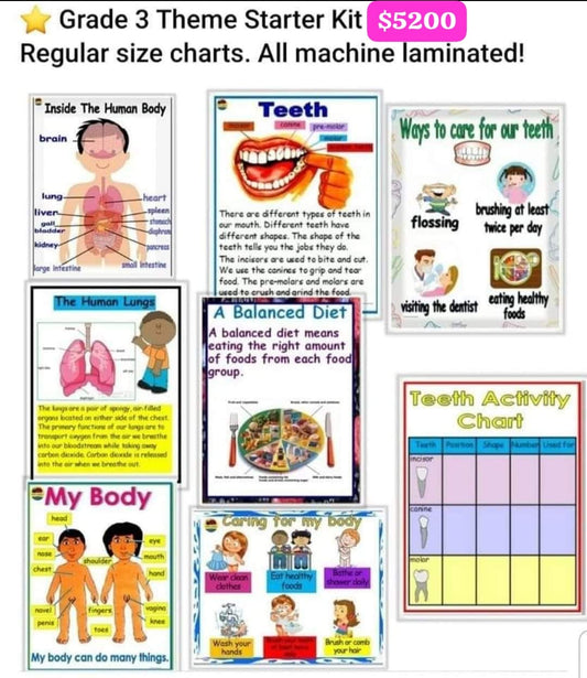 Grade 3 Starter charts for term 1