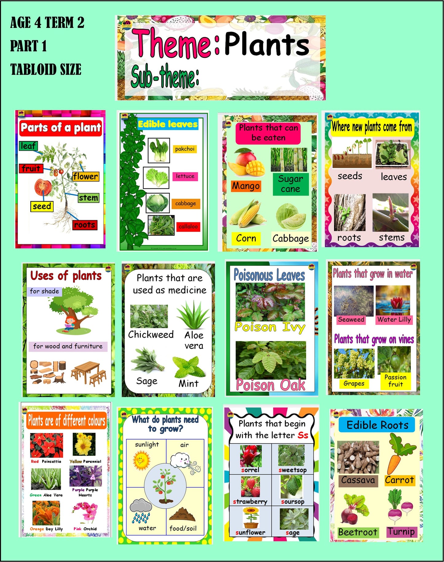 Term 2 Plant Charts Age 4