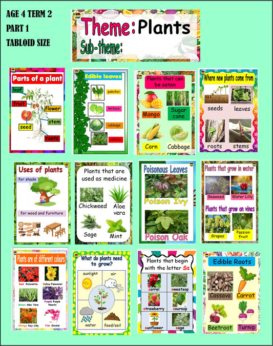 Term 2 Plant Charts Age 4