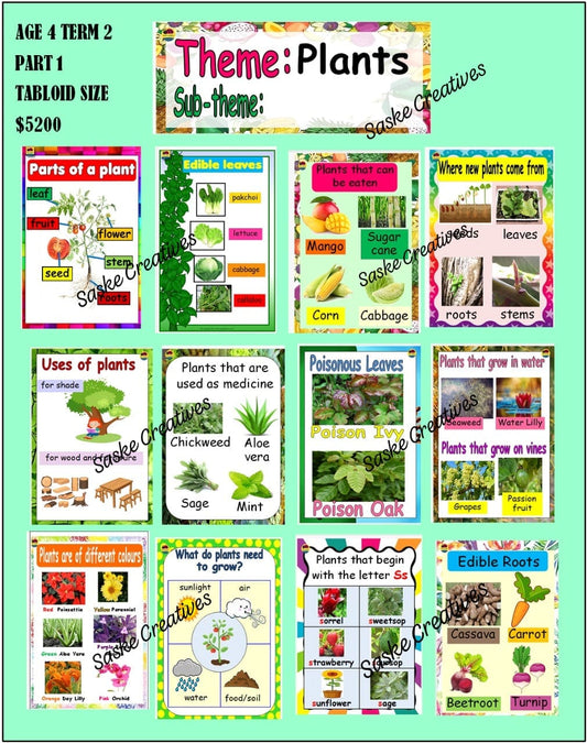 AGE 4 PLANTS TERM 2 CHARTS