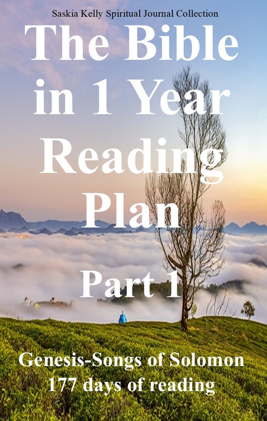 BIBLE IN 1 YEAR JOURNAL