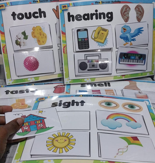 Five Senses Activitiy