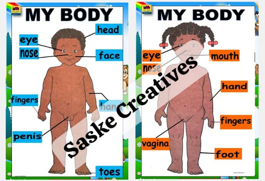 My Body Charts