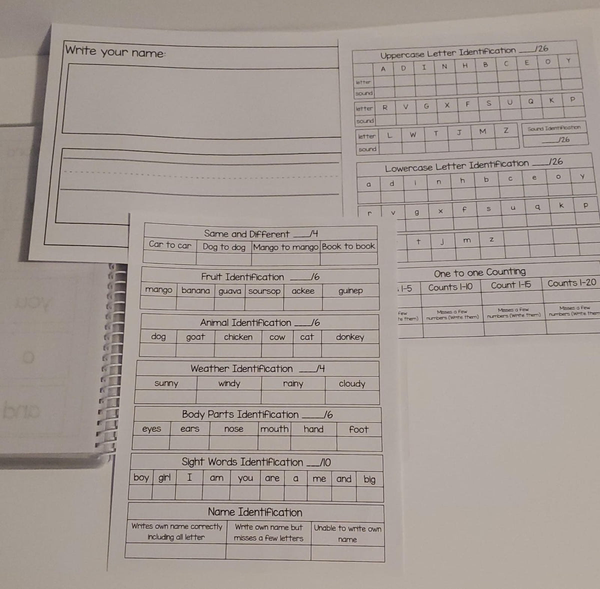 Pre-K and Kinder Assessment Booklet
