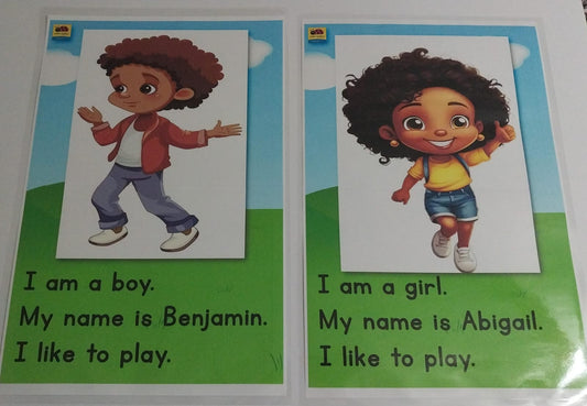 Boy and Girl Sentence Charts Tabloid size