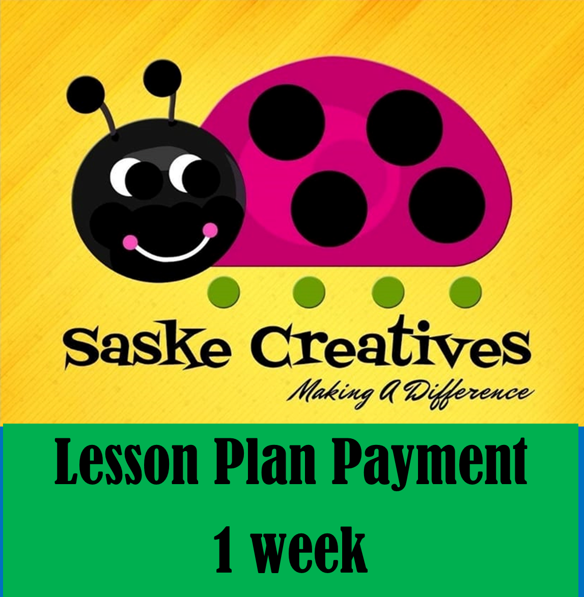 LESSON PLAN PAYMENT 1 WEEK